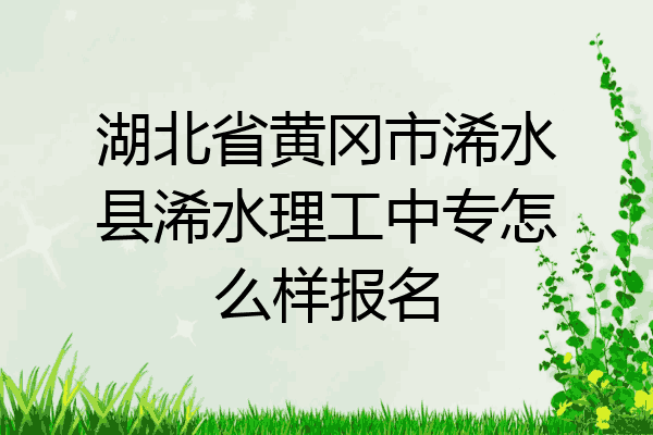 湖北省黄冈市浠水县浠水理工中专怎么样报名