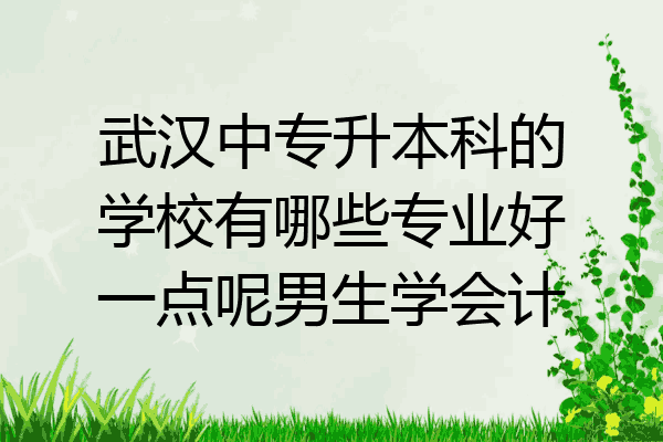武汉中专升本科的学校有哪些专业好一点呢男生学会计