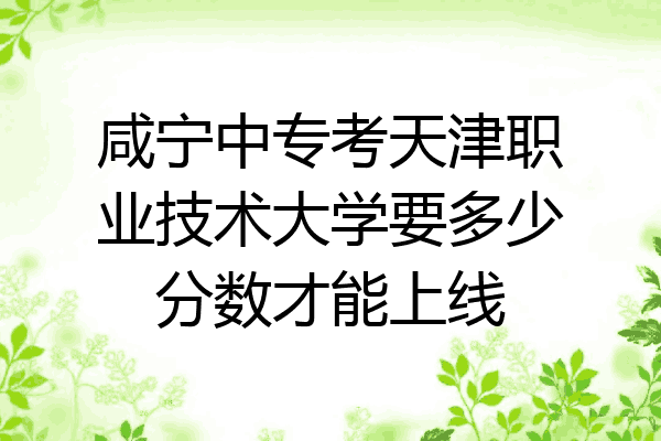 咸宁中专考天津职业技术大学要多少分数才能上线