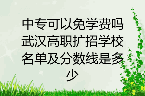 中专可以免学费吗武汉高职扩招学校名单及分数线是多少