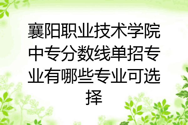 襄阳职业技术学院中专分数线单招专业有哪些专业可选择