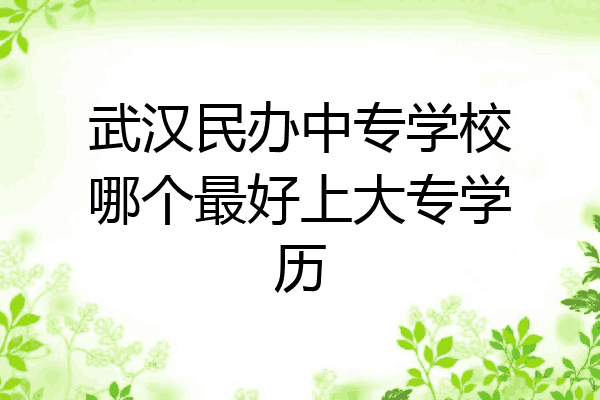 武汉民办中专学校哪个最好上大专学历