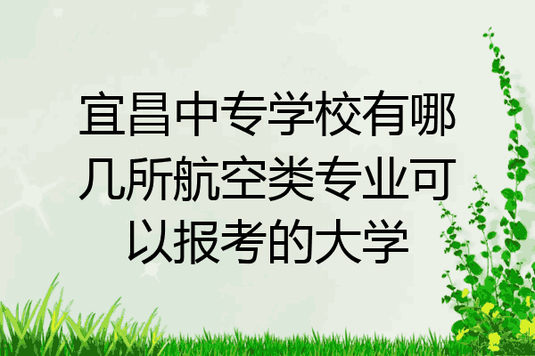 宜昌中专学校有哪几所航空类专业可以报考的大学