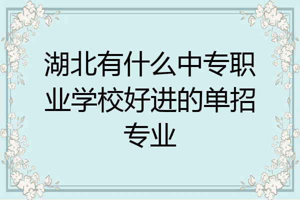 湖北有什么中专职业学校好进的单招专业