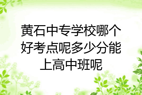 黄石中专学校哪个好考点呢多少分能上高中班呢