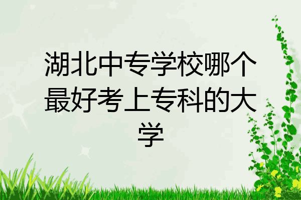 湖北中专学校哪个最好考上专科的大学
