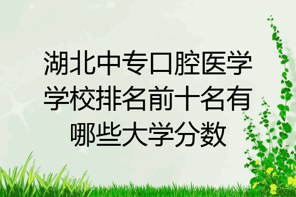 湖北中专口腔医学学校排名前十名有哪些大学分数