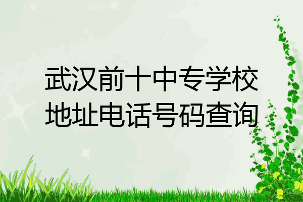 武汉前十中专学校地址电话号码查询