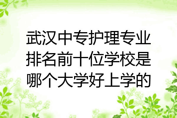 武汉中专护理专业排名前十位学校是哪个大学好上学的