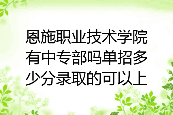 恩施职业技术学院有中专部吗单招多少分录取的可以上
