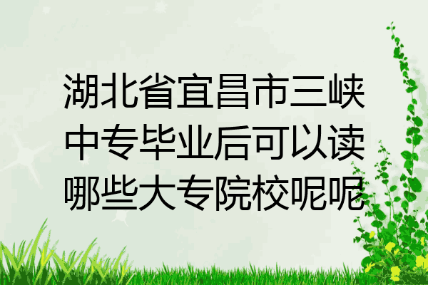 湖北省宜昌市三峡中专毕业后可以读哪些大专院校呢呢