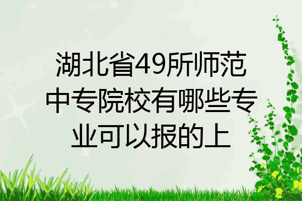 湖北省49所师范中专院校有哪些专业可以报的上