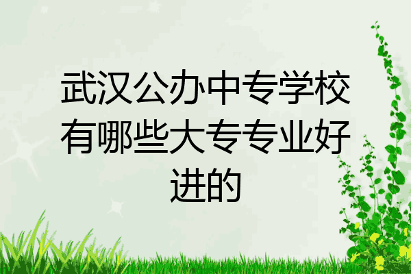 武汉公办中专学校有哪些大专专业好进的