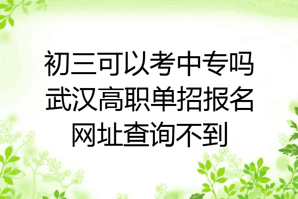 初三可以考中专吗武汉高职单招报名网址查询不到