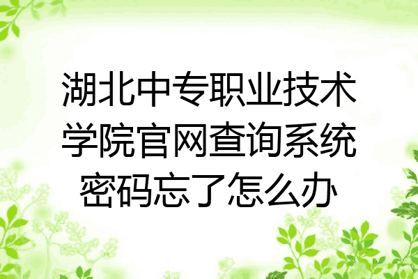 湖北中专职业技术学院官网查询系统密码忘了怎么办