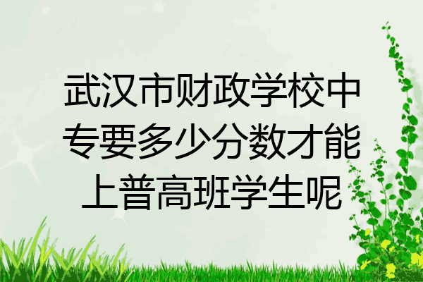 武汉市财政学校中专要多少分数才能上普高班学生呢