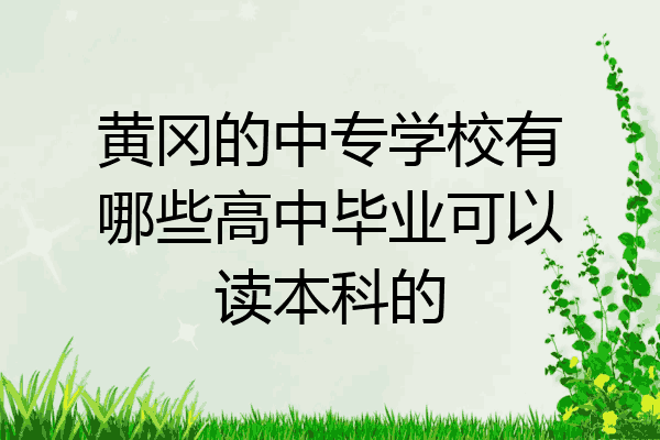黄冈的中专学校有哪些高中毕业可以读本科的