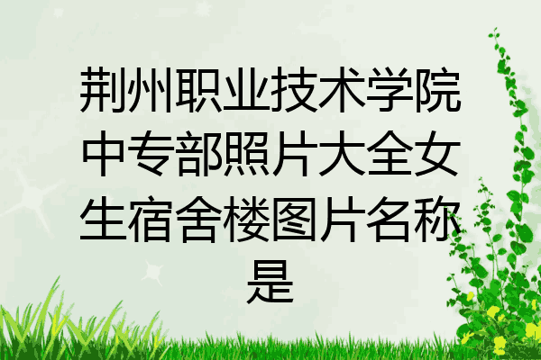 荆州职业技术学院中专部照片大全女生宿舍楼图片名称是