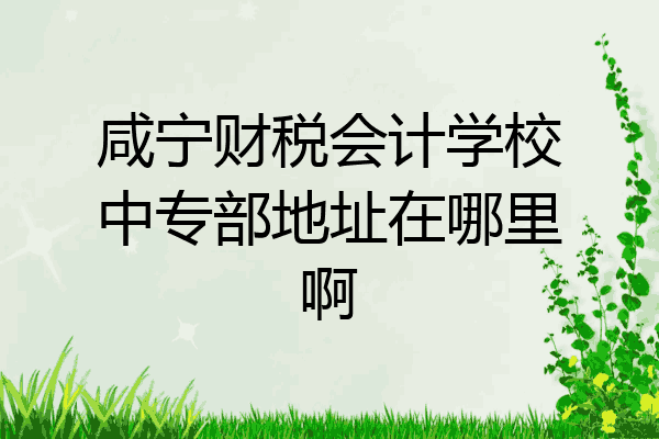 咸宁财税会计学校中专部地址在哪里啊