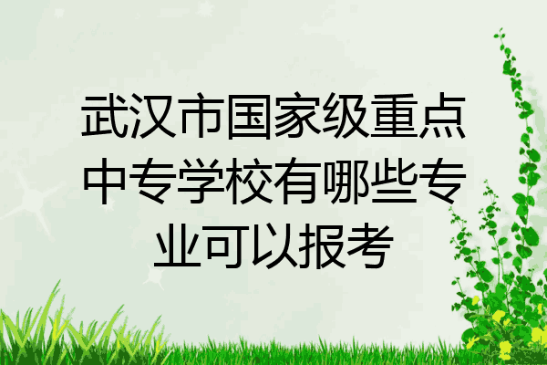 武汉市国家级重点中专学校有哪些专业可以报考