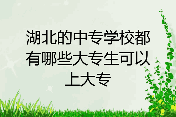 湖北的中专学校都有哪些大专生可以上大专