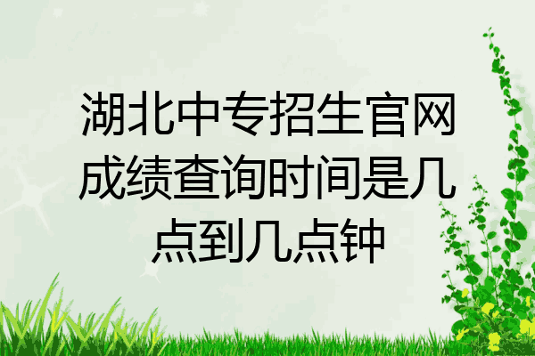 湖北中专招生官网成绩查询时间是几点到几点钟