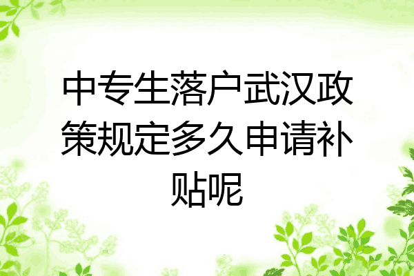 中专生落户武汉政策规定多久申请补贴呢