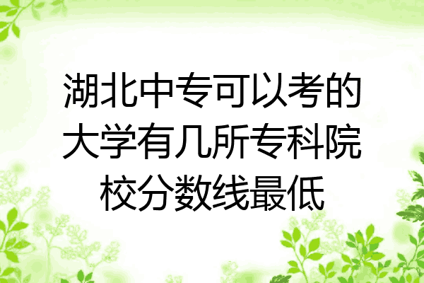 湖北中专可以考的大学有几所专科院校分数线最低