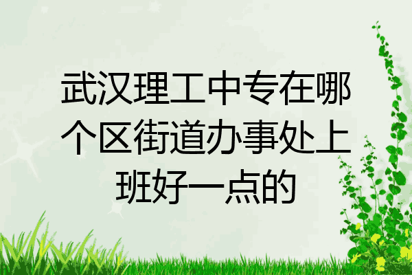 武汉理工中专在哪个区街道办事处上班好一点的