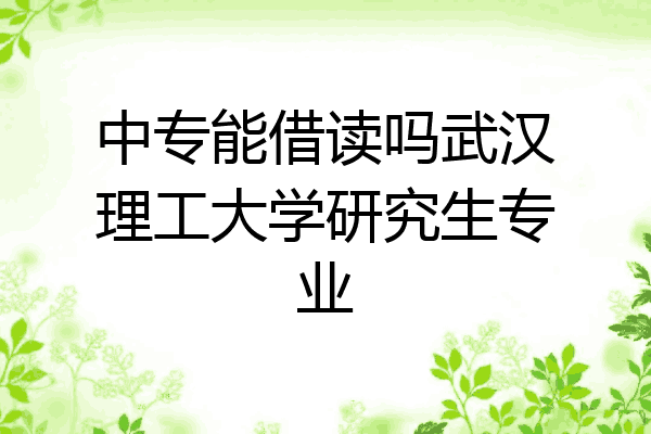 中专能借读吗武汉理工大学研究生专业
