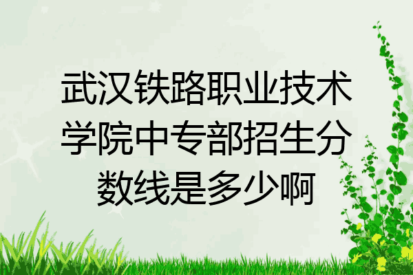 武汉铁路职业技术学院中专部招生分数线是多少啊