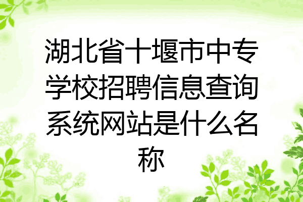 湖北省十堰市中专学校招聘信息查询系统网站是什么名称