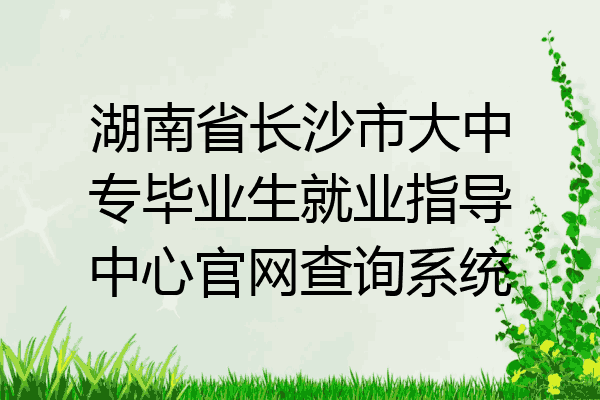湖南省长沙市大中专毕业生就业指导中心官网查询系统