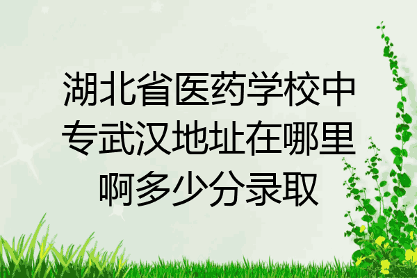 湖北省医药学校中专武汉地址在哪里啊多少分录取