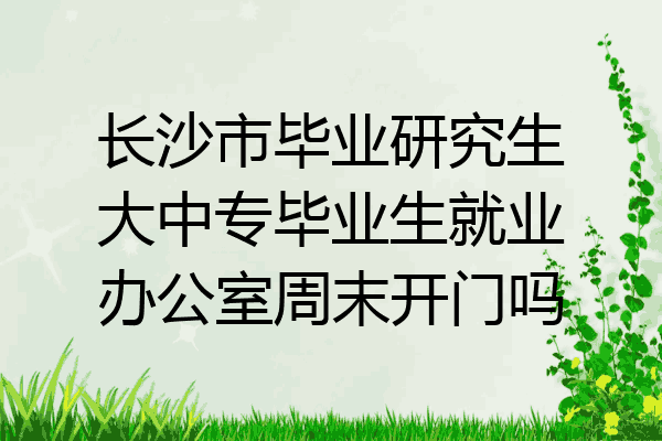 长沙市毕业研究生大中专毕业生就业办公室周末开门吗