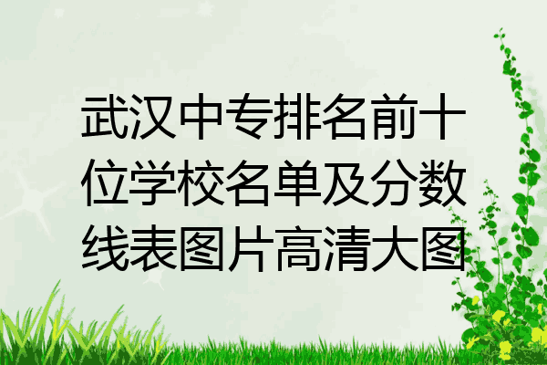 武汉中专排名前十位学校名单及分数线表图片高清大图