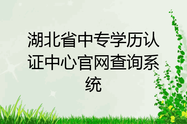 湖北省中专学历认证中心官网查询系统