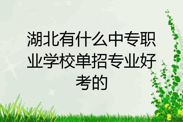 湖北有什么中专职业学校单招专业好考的