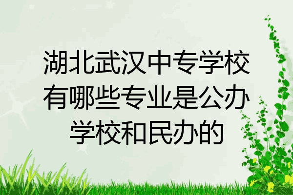 湖北武汉中专学校有哪些专业是公办学校和民办的