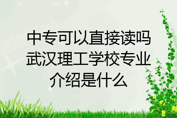 中专可以直接读吗武汉理工学校专业介绍是什么