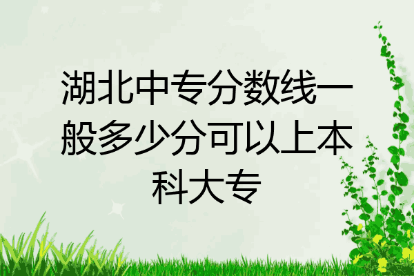 湖北中专分数线一般多少分可以上本科大专