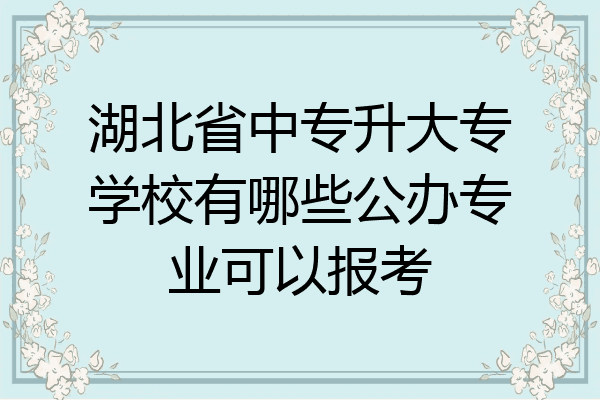 湖北省中专升大专学校有哪些公办专业可以报考