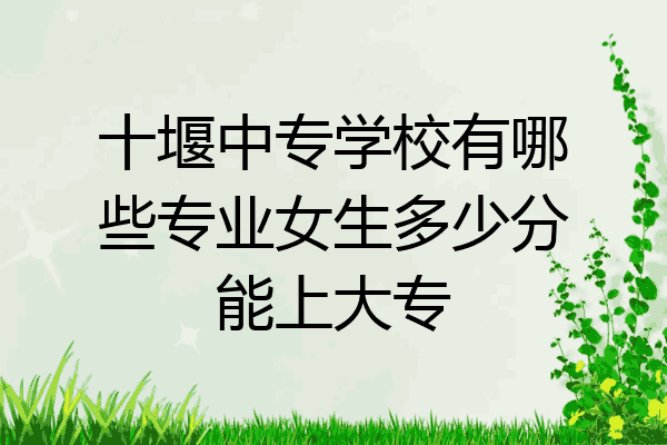 十堰中专学校有哪些专业女生多少分能上大专