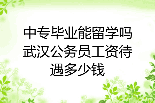 中专毕业能留学吗武汉公务员工资待遇多少钱