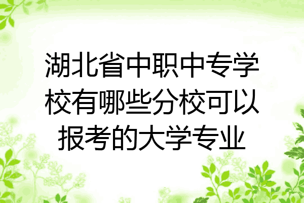 湖北省中职中专学校有哪些分校可以报考的大学专业