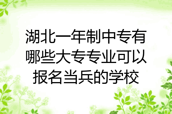 湖北一年制中专有哪些大专专业可以报名当兵的学校