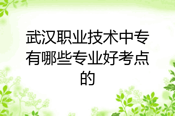 武汉职业技术中专有哪些专业好考点的