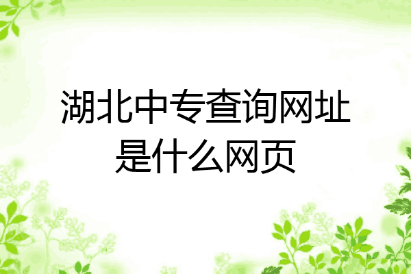 湖北中专查询网址是什么网页
