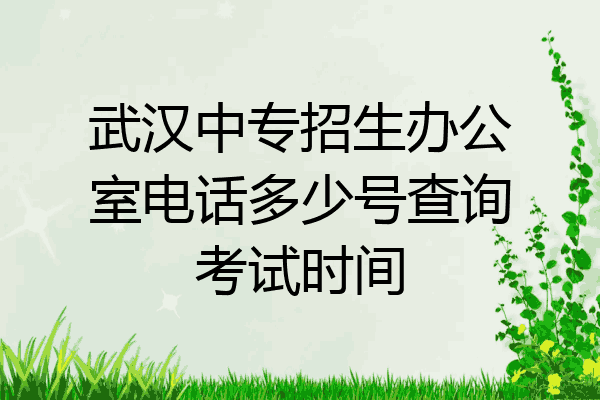 武汉中专招生办公室电话多少号查询考试时间