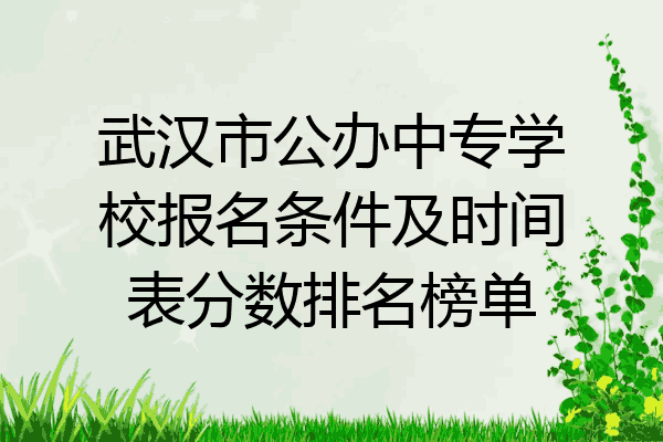 武汉市公办中专学校报名条件及时间表分数排名榜单